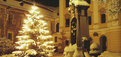Рождественская елка, Монд-Зее, Зальцкаммергут, Зальцбург, Австрия