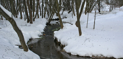 Талеж, родник