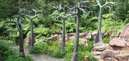 Дорожка ботанического сада Сингапура