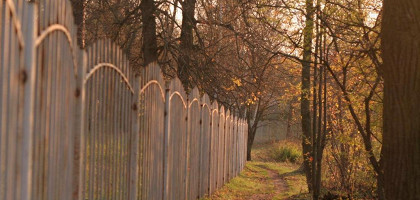 Тропинки в Любимовке