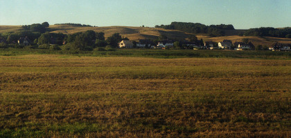 Поля, Рюген