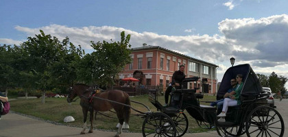Прогулка по городу Свияжск на карете, запряженной лошадьми, Россия