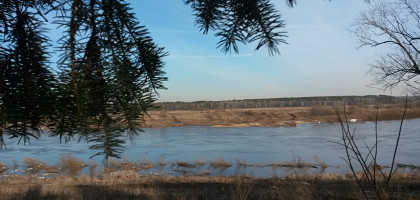 Река в Тарусе