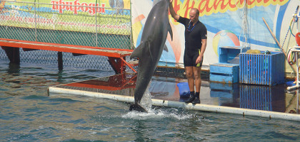 Дельфин и дрессировщик