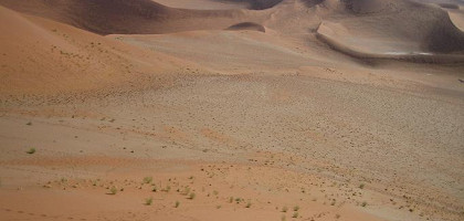 Намиб пустыня