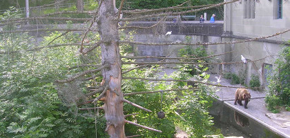 Медвежий парк, один из вольеров