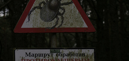 Забавные табличики в лесах Куршской косы