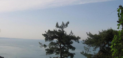 Природа в Абхазии