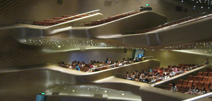 Оперный театр Гуанчжоу, зрительный зал