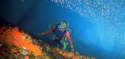Подводный мир Арубы