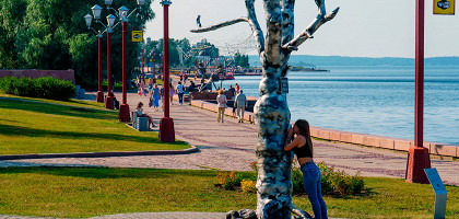 Дерево желаний в Петрозаводске