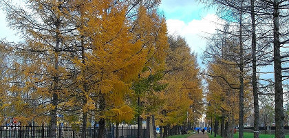 Парк Победы в Санкт-Петербурге, осенняя аллея