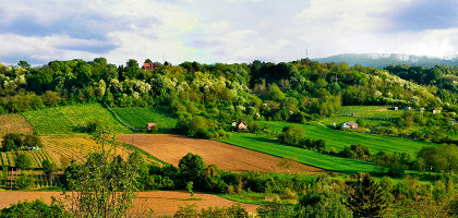 Панорама Национального парка Фрушка-Гора