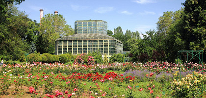 Бухарестский ботанический сад, оранжерея