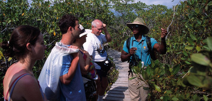 Туристы на экскурсии, Багамские острова