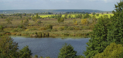 Большое озеро, Воронежская область