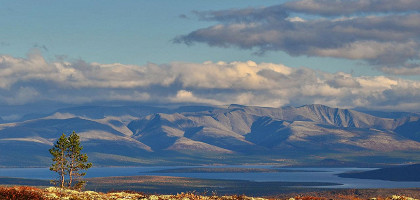 Лапландский заповедник