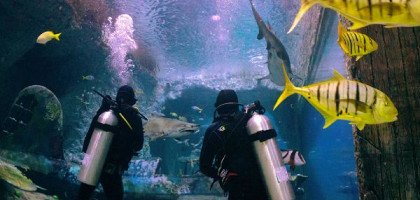 Национальный аквариум Абу-Даби