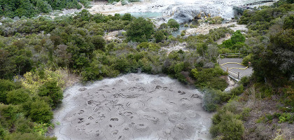 Грязевой бассейн и гейзеры в окрестностях Роторуа на Северном острове