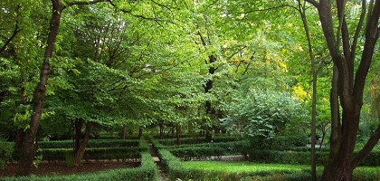 Ботанический сад университета Пармы