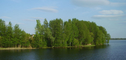 Река Воронеж, Тамбовская область