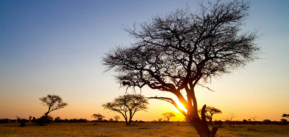 Закат в Национальном парке Хванге, Зимбабве