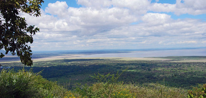 Виды национального парка Маньяра, Танзания