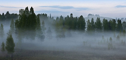 Туман в Изборской долине