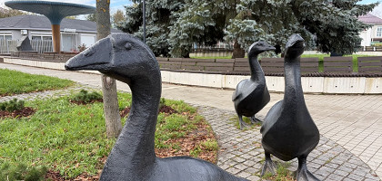 Арзамасский гусь
