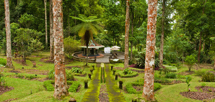 Ботанический сад Бали, аллея
