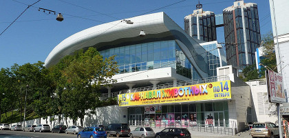 Владивостокский цирк
