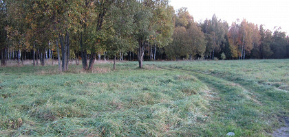 Парк «Зверинец»