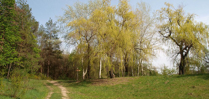 Дендропарк Полтавы