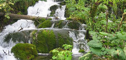 Один из водопадов, Плитвицкие озера