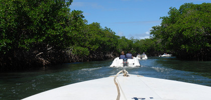 Экскурсия по мангровым зарослям, Варадеро