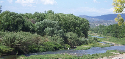 Река Эвротас, Спарта