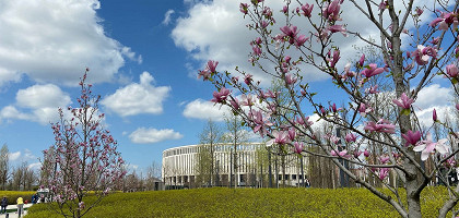Парк Галицкого весной