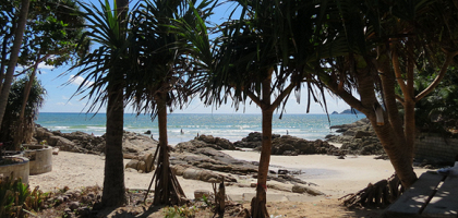 Пальмы на пляже Патонг