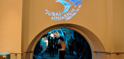 Аквариум в Дубае, вход