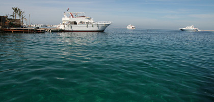 Хургада, морские виды