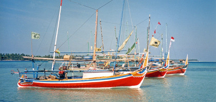 Каримунджава, Ява
