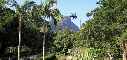 Ботанический сад Рио-де-Жанейро, вид на гору Корковаду