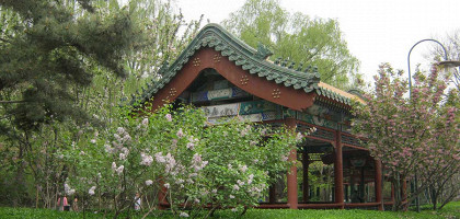 Зелень парка Бэйхай, Пекин, Китай