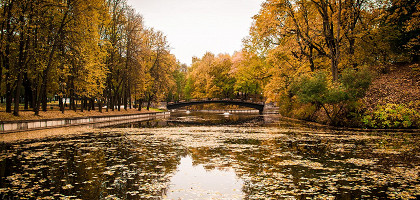 Лопатинский сад, Смоленск