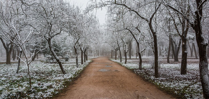 Аллея в Гагаринском парке, Симферополь
