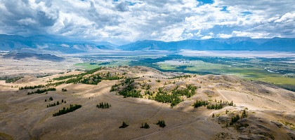 Курайская степь