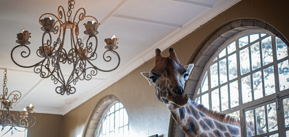 Giraffe Manor Hotel, отель в Найроби, Кения
