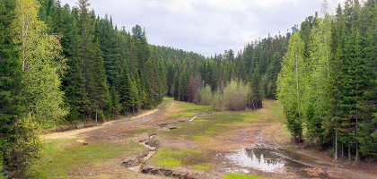 Самаровский чугас