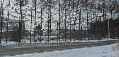 Иркутский Академгородок, дорога