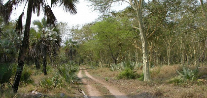 Национальный парк Горонгоса, дорога